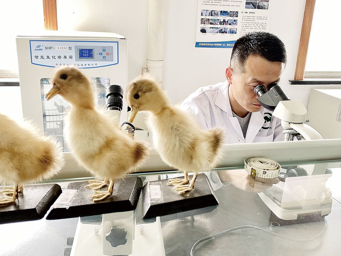 A4zhujirb2024070100004v01s005.jpg